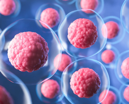 Banner Células madre